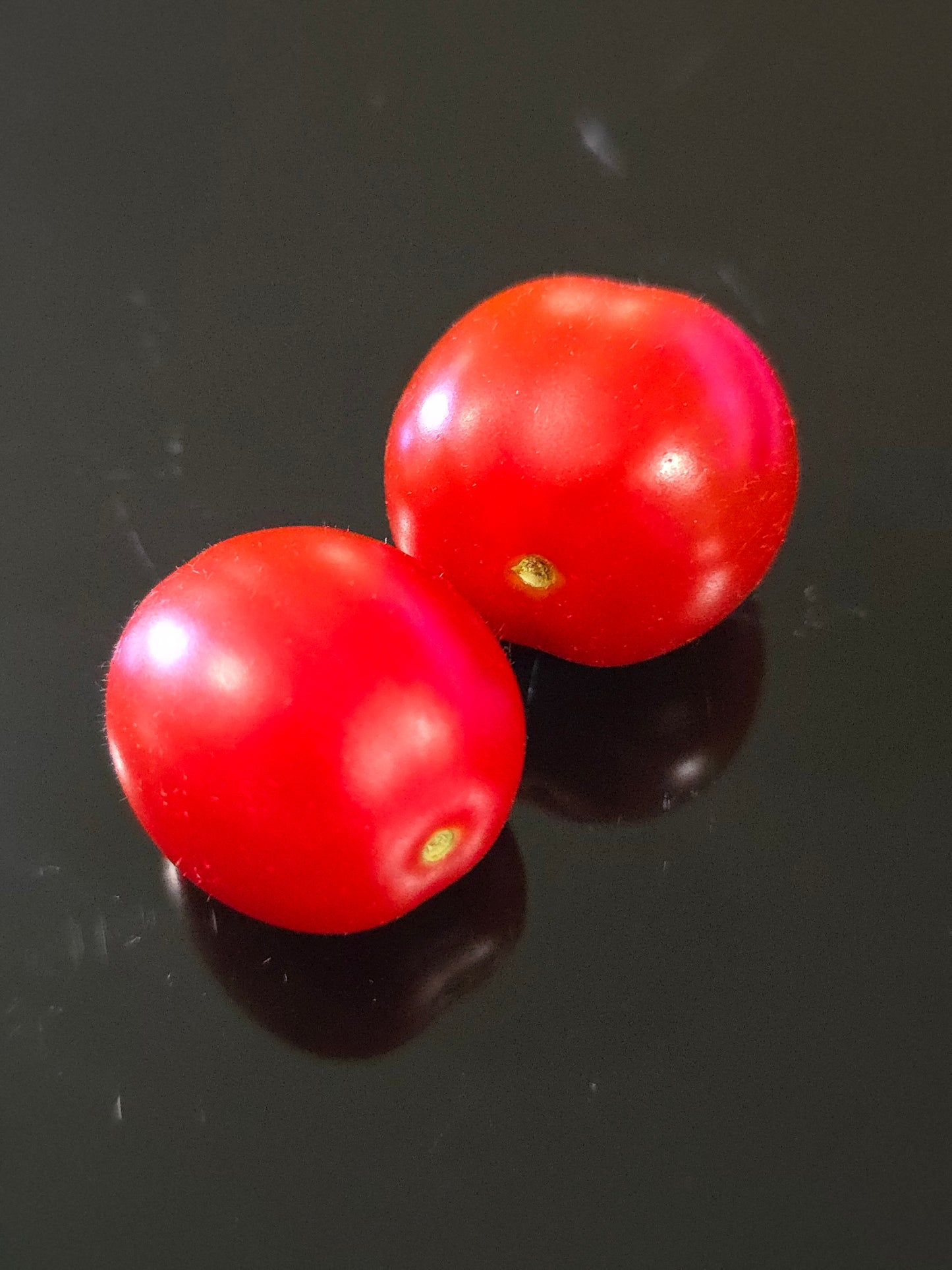 Fantastico (Hybrid) Compact/Basket Tomato Seeds (15 seeds)