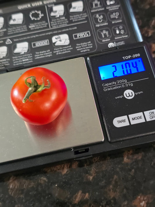 Chadwick Cherry Tomato Seeds (15 seeds)