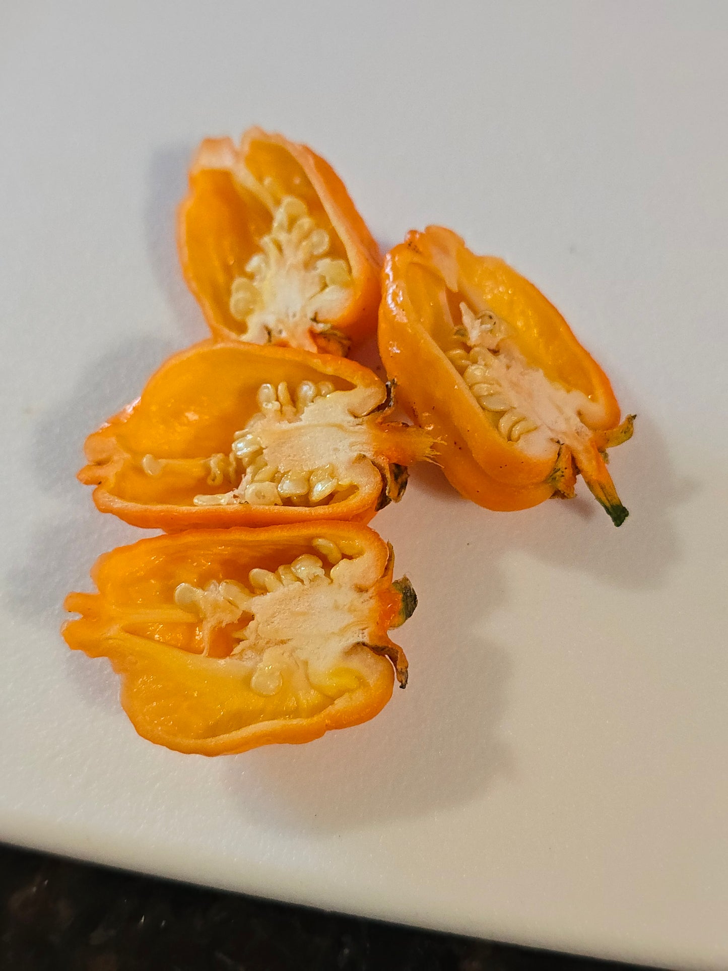 7-Pot Bubblegum Pumpkin (15 seeds)