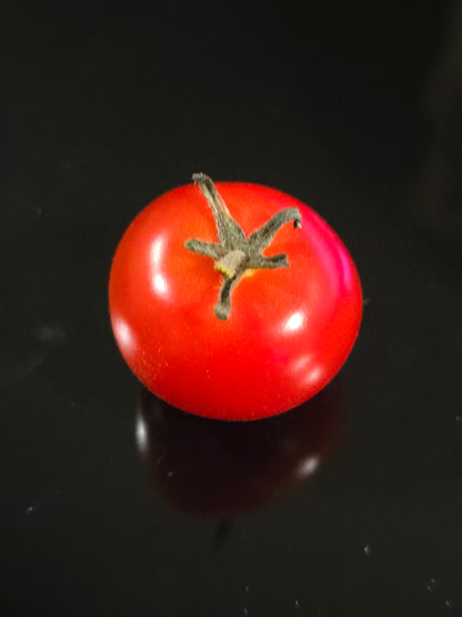 X-Mas Tree Micro Dwarf Tomato Seeds (15 seeds)