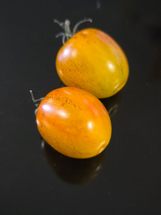 Golden Micro Dwarf Tomato Seeds (15 seeds)