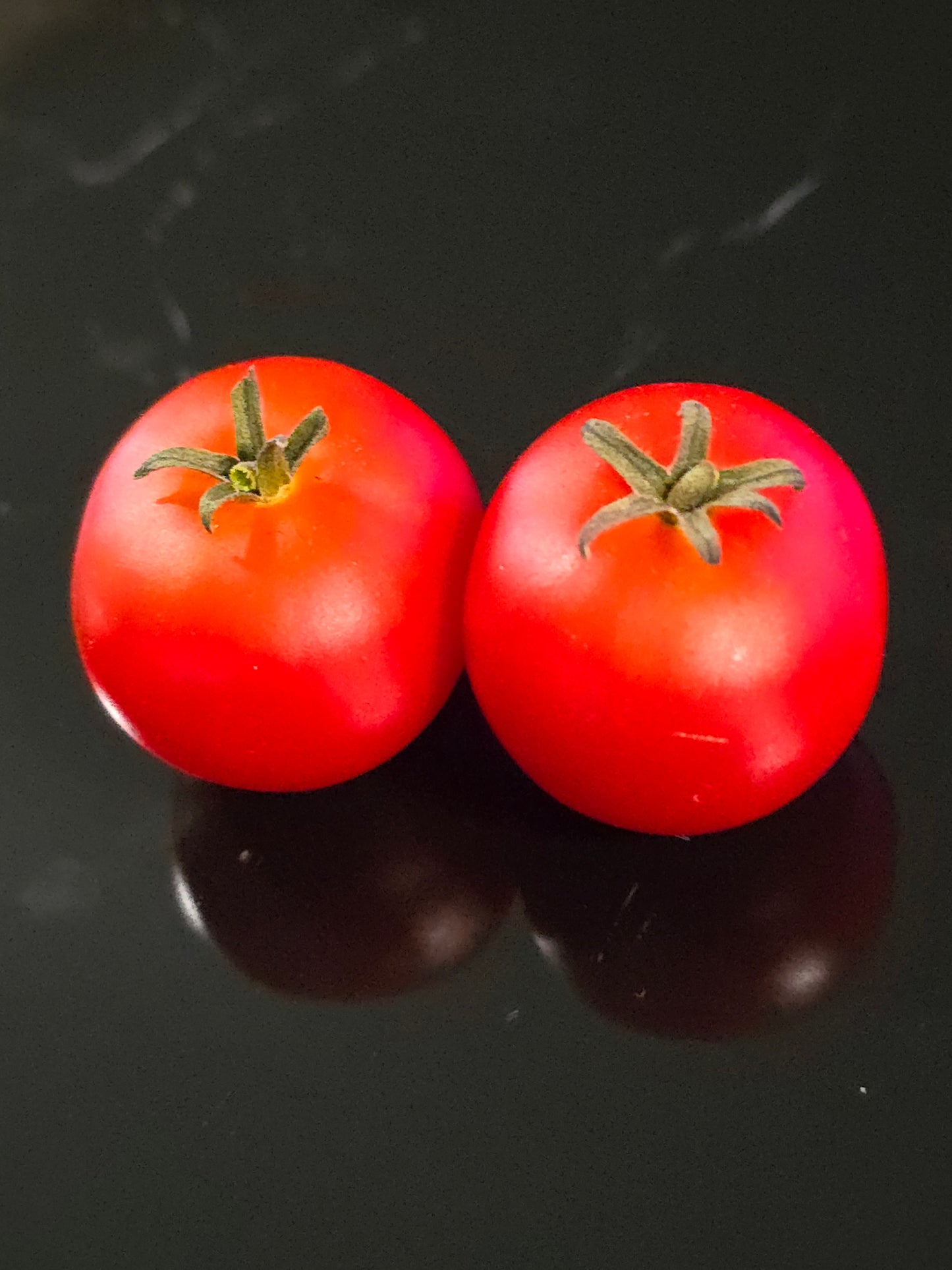 Minibel Micro Dwarf Tomato Seeds (15 seeds)