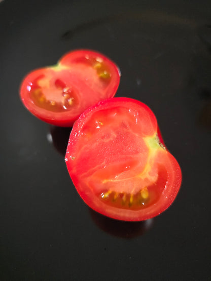 Bush Early Girl F2 Hybrid Tomato Seeds (15 seeds)