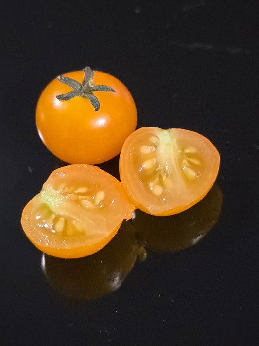 Orange Hat Micro Dwarf Tomato Seeds (15 seeds)