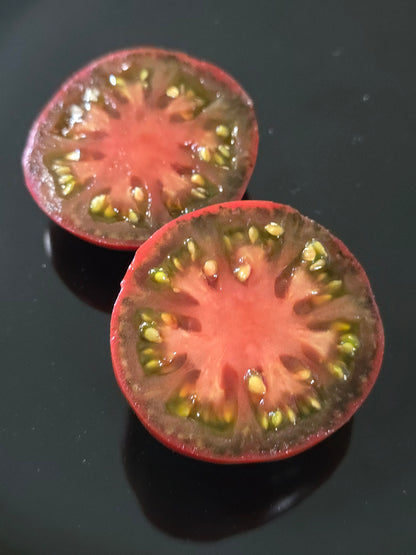 Chocolate Champion Dwarf Tomato Seeds (15 seeds)