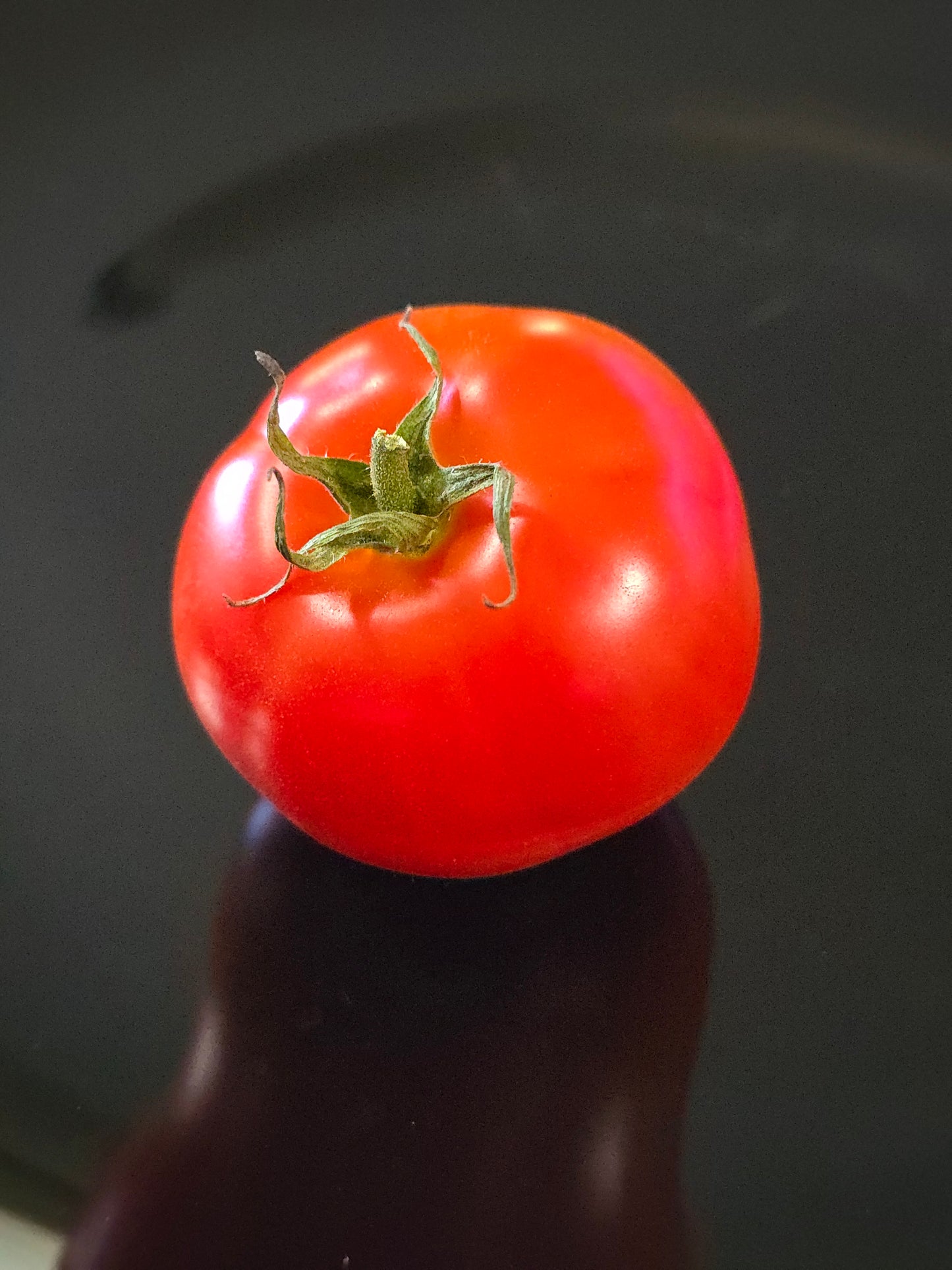 Bush Early Girl Tomato Seeds (15 seeds)