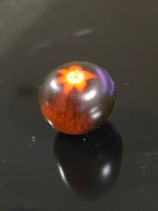 Inkspot Micro Dwarf Tomato Seeds (15 seeds)