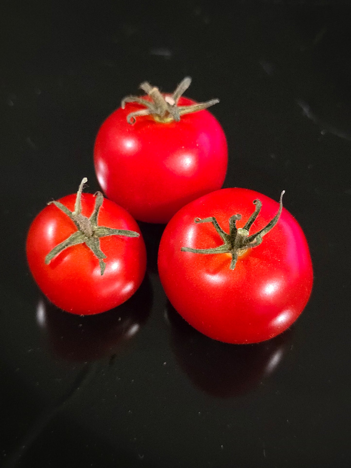 X-Mas Tree Micro Dwarf Tomato Seeds (15 seeds)