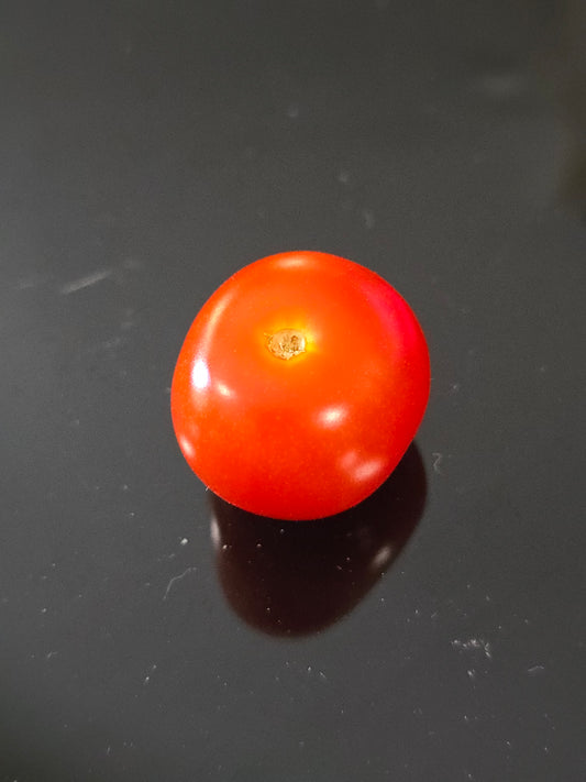 Pigmy Micro Dwarf Tomato Seeds (15 seeds)