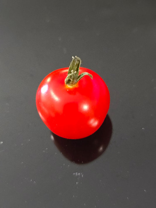 Little Red Riding Hood Micro Dwarf Tomato Seeds (15 seeds)