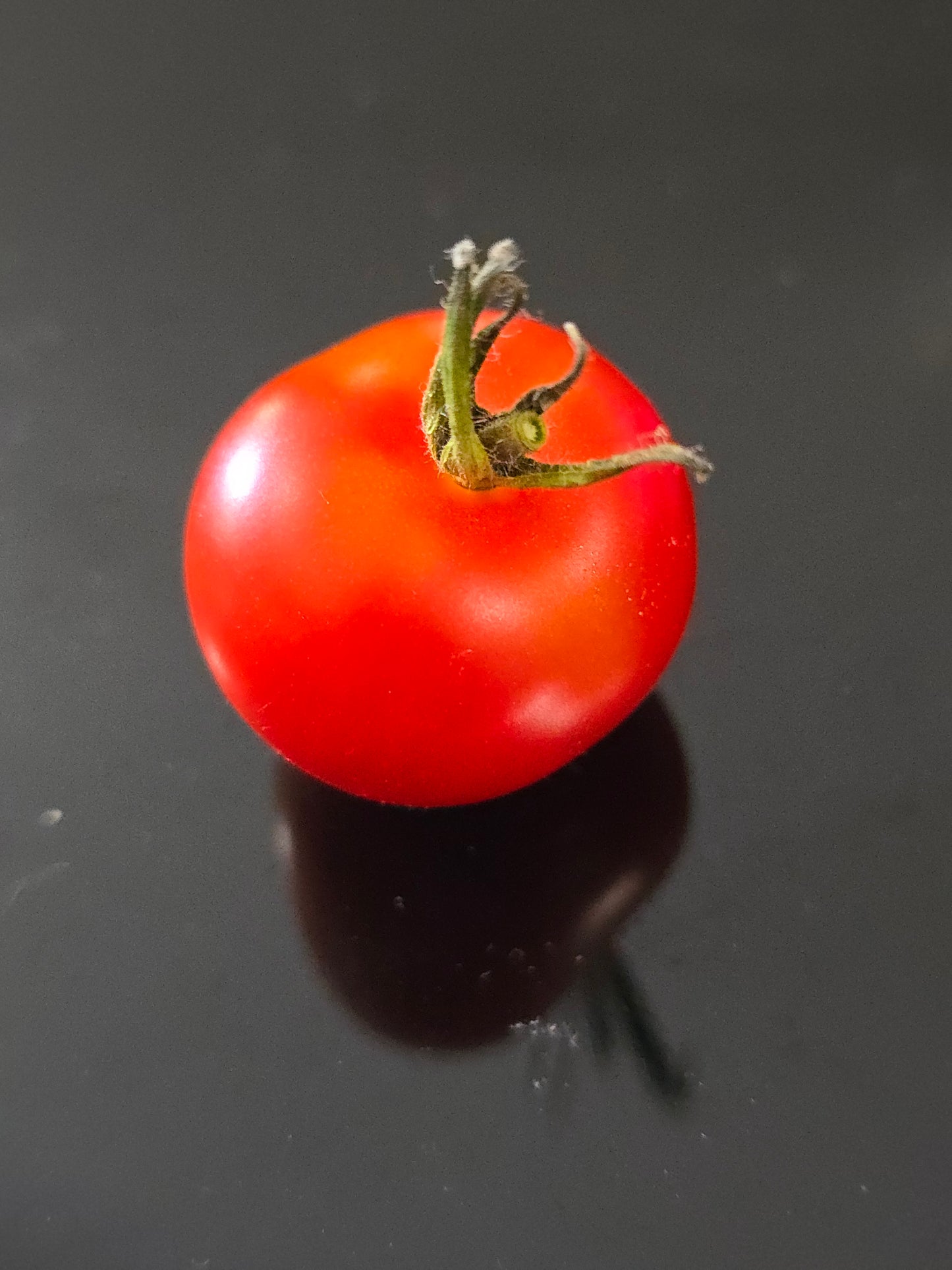 Eva Micro Dwarf Tomato Seeds (15 seeds)