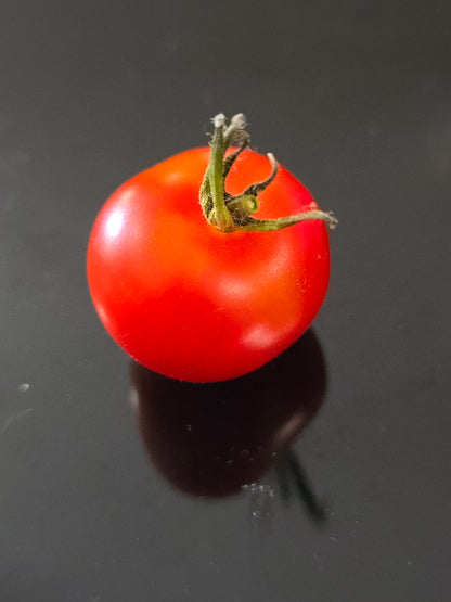 Eva Micro Dwarf Tomato Seeds (15 seeds)