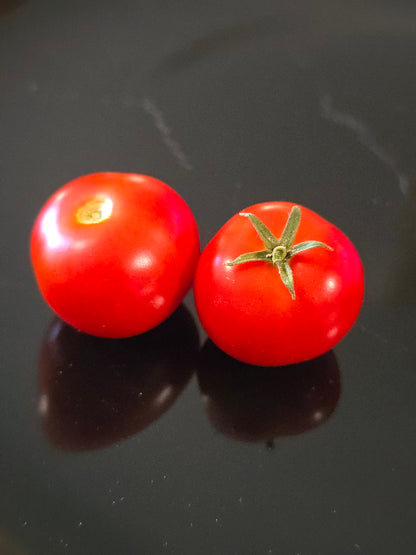 Super Bunny Micro Dwarf Tomato Seeds (15 seeds)