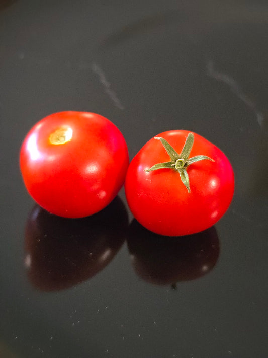 Super Bunny Micro Dwarf Tomato Seeds (15 seeds)