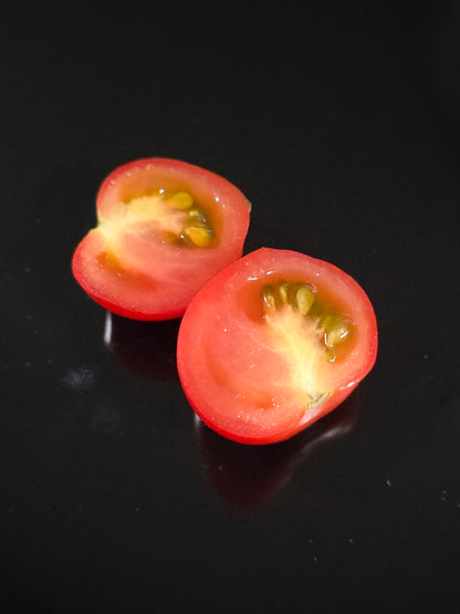 X-Mas Tree Micro Dwarf Tomato Seeds (15 seeds)