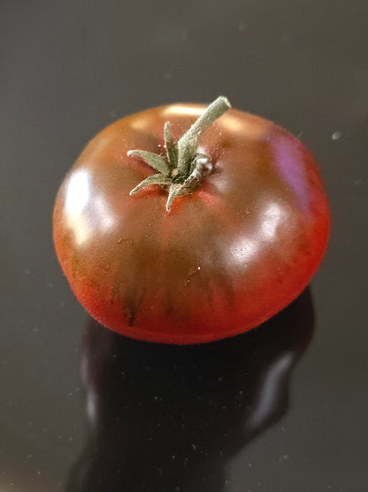 Chocolate Champion Dwarf Tomato Seeds (15 seeds)