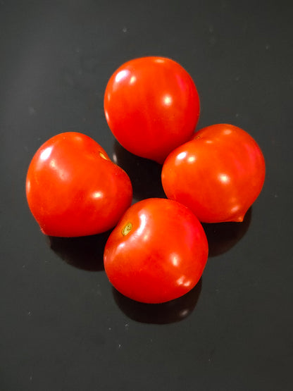 Carrot Mini Micro Dwarf Tomato Seeds (15 seeds)