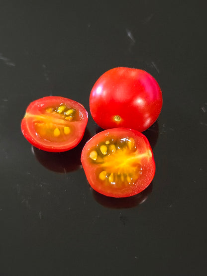 Fantastico Compact/Basket Tomato Seeds (15 seeds)