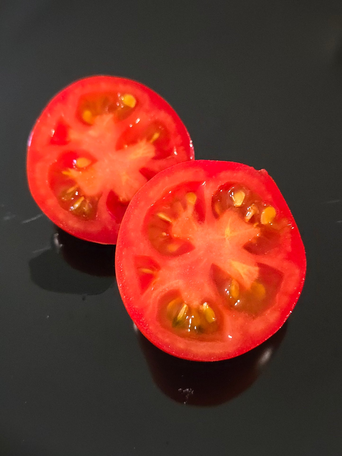 Bush Early Girl F2 Hybrid Tomato Seeds (15 seeds)