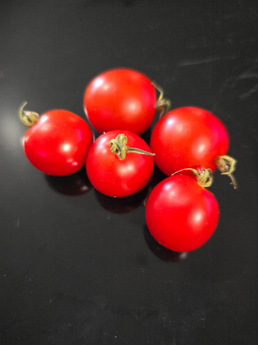 Tumbler (OP/Hybrid?) Compact/Basket Tomato Seeds (15 seeds)