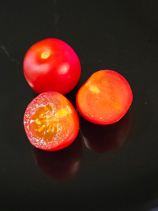 Minibel Micro Dwarf Tomato Seeds (15 seeds)