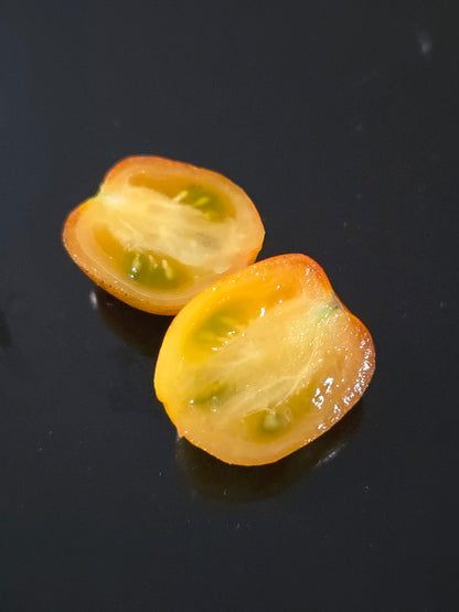 Golden Hour Micro Dwarf Tomato Seeds (15 seeds)