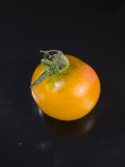 Gourmandise Yellow Micro Dwarf Tomato Seeds (15 seeds)